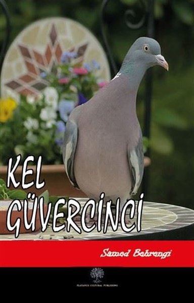 Kel Güvercinci – Samed Behrengi – Platanus Publishing – kitap kapağı