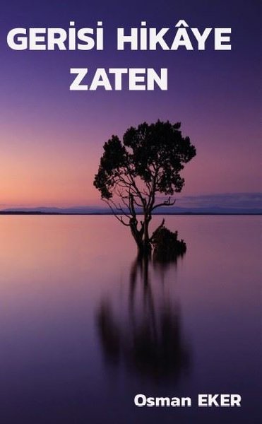 Gerisi Hikaye Zaten - Platanus Publishing Kitap