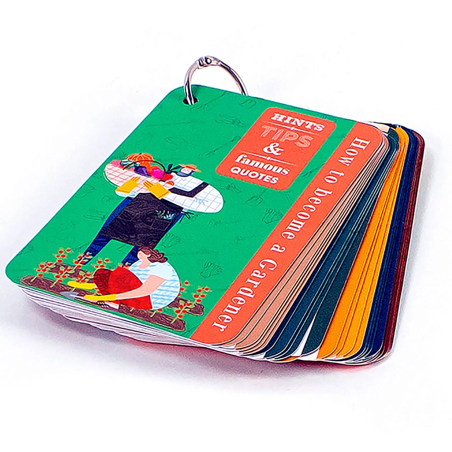 Recent Toys How to become a Gardener