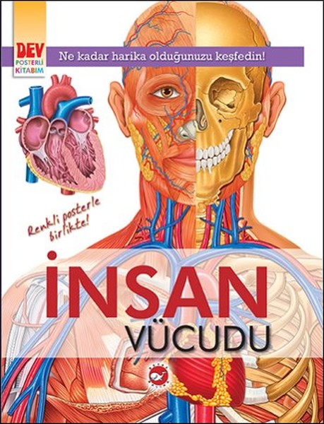 İnsan Vücudu – Kolektif – Beyaz Balina Yayınları – kitap kapağı