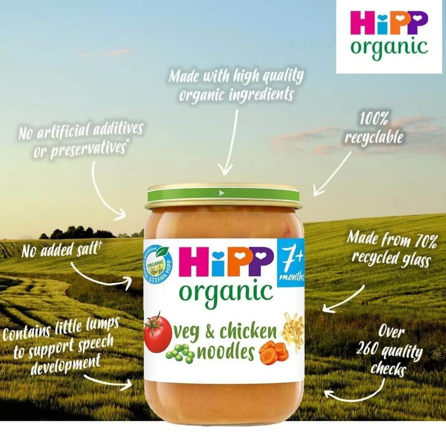 HiPP Organic Vegetables & Chicken Noodles Baby Food Jar 7+ months 190g