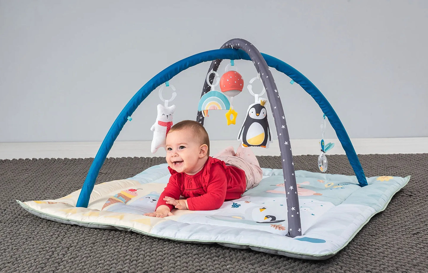 Taf Toys North Pole 4 Seasons Gym