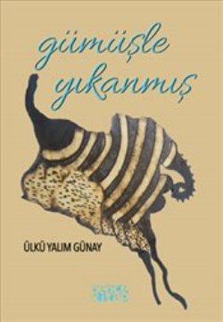 Gümüşle Yıkanmış – Ülkü Yalım Günay – Bencekitap – kitap kapağı
