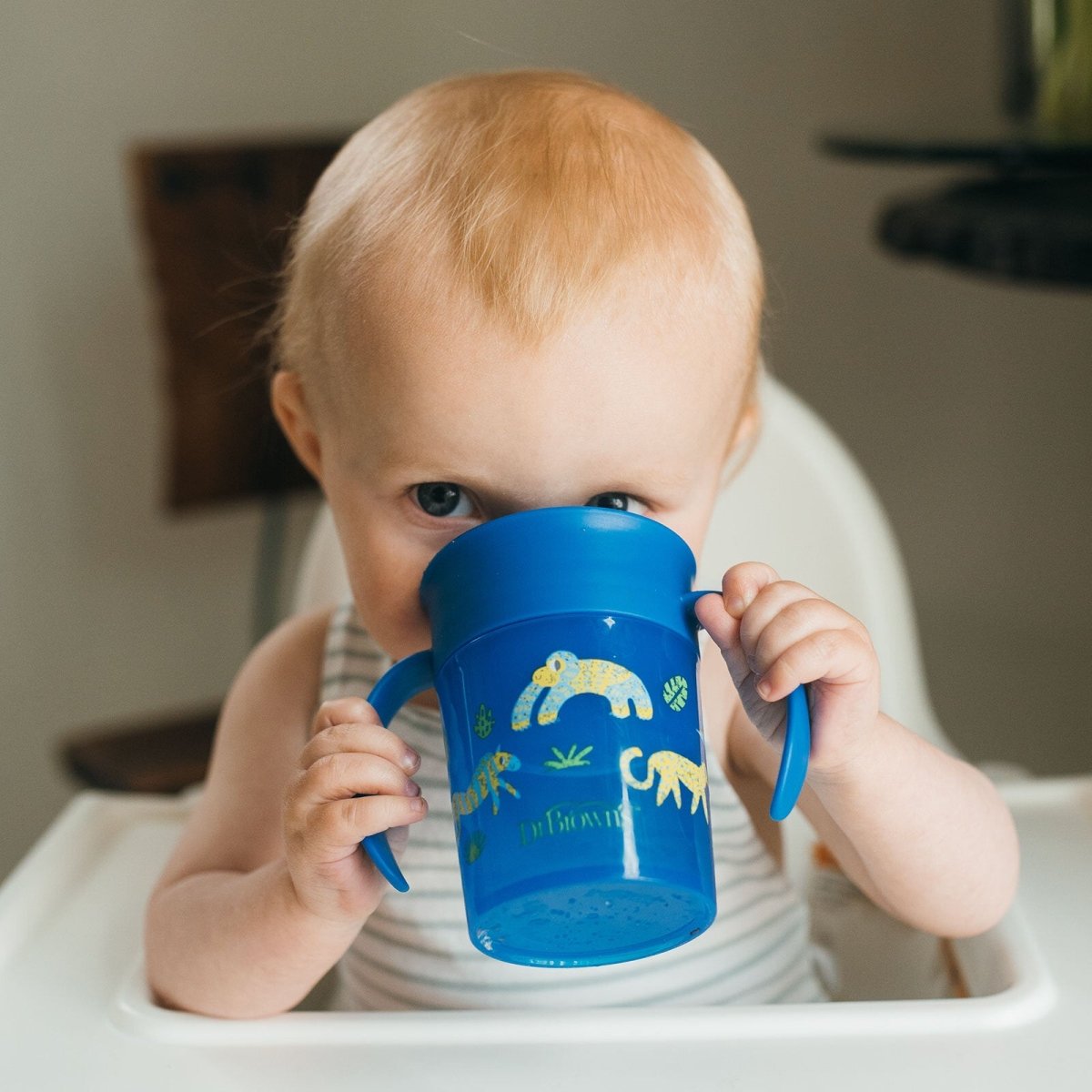 Dr. Brown's 360 Spoutless Transition Cup 300ml - Blue
