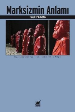 Marksizmin Anlamı – Paul D'Amato – Ayrıntı Yayınları – kitap kapağı