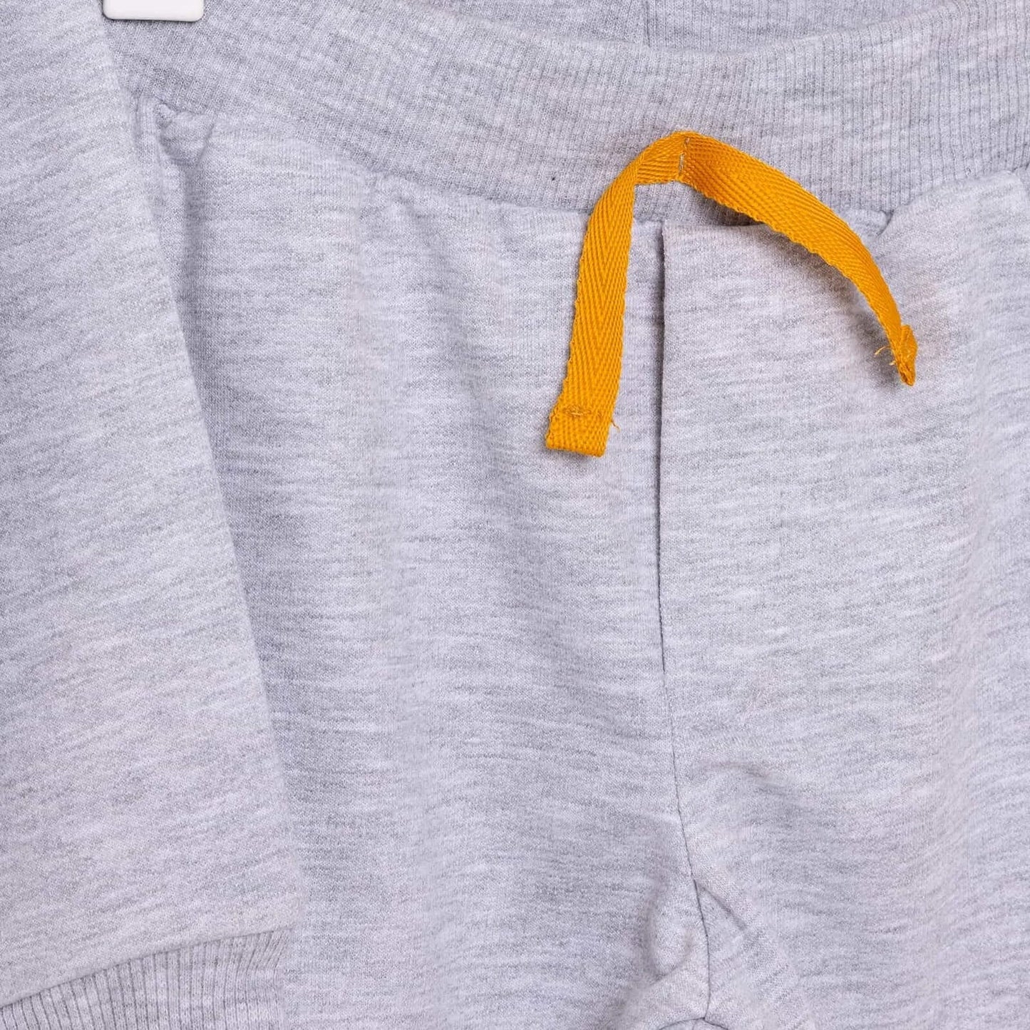 Cocux Animals Boy Jogging Set - Grey