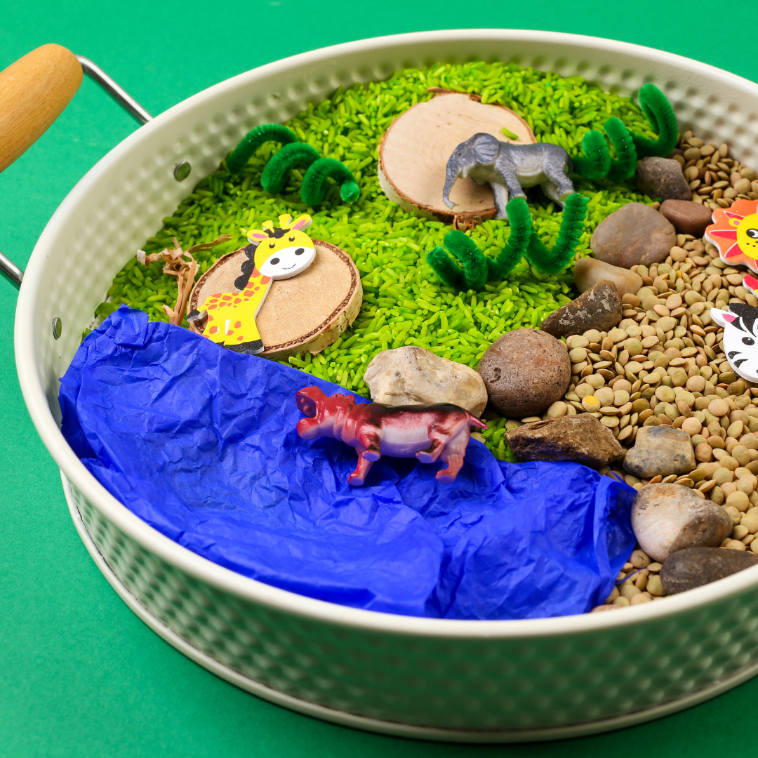 Safari Sensory Kit