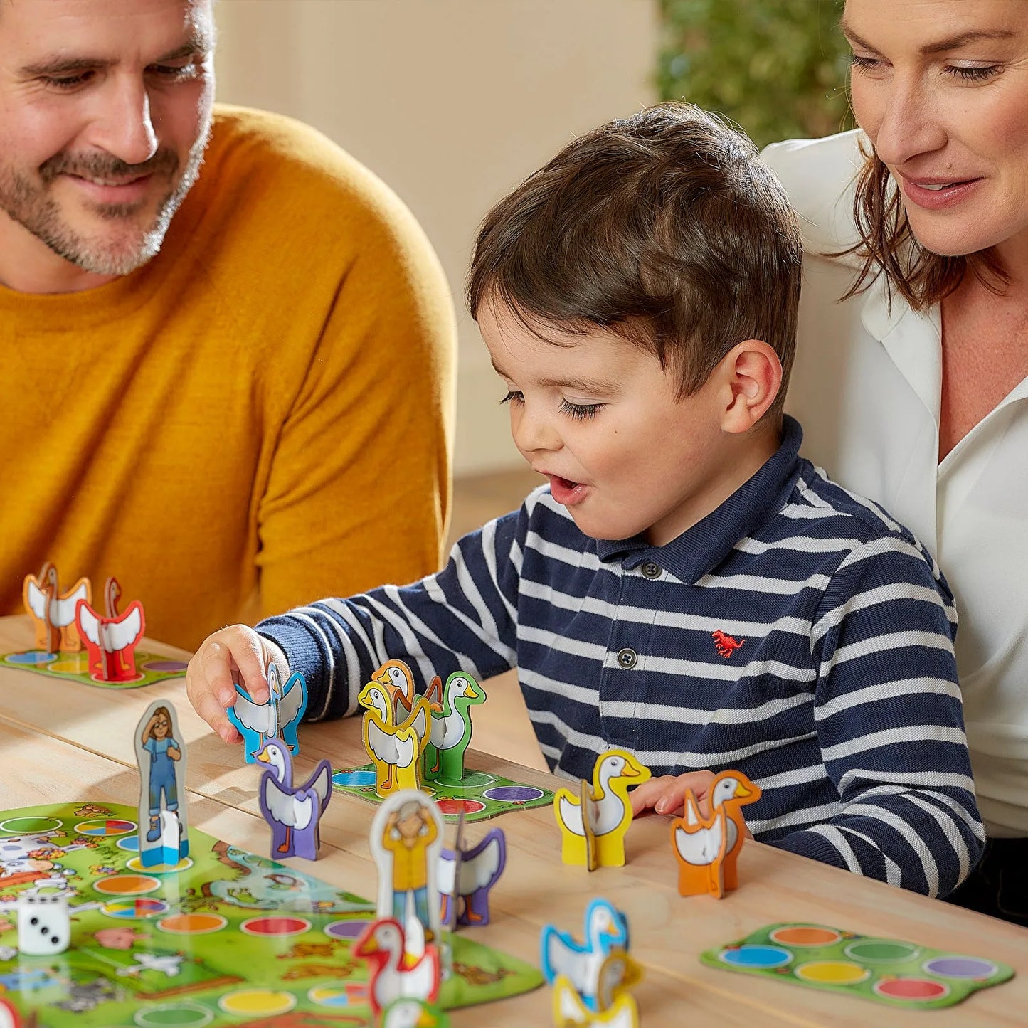 Orchard Toys Goose On The Loose Educational Colour Matching Game