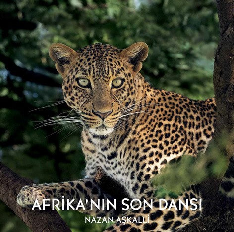 Afrika'nın Son Dansı (Ciltli)