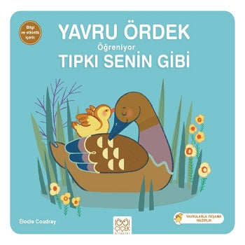 Yavru Ördek Öğreniyor Senin Gibi