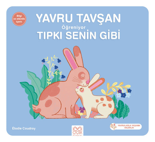 Yavru Tavşan Öğreniyor Senin Gibi