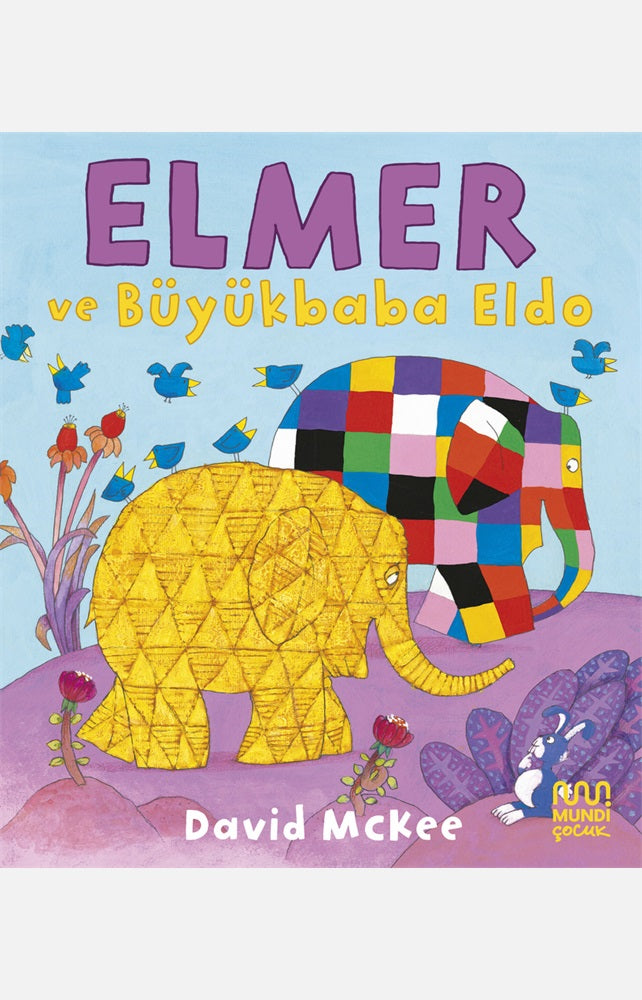 Elmer ve Büyükbaba Eldo – David McKee – Mundi – kitap kapağı