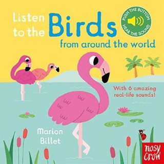 Listen to the Birds – Kolektif – Nosy Crow Yayınevi – kitap kapağı