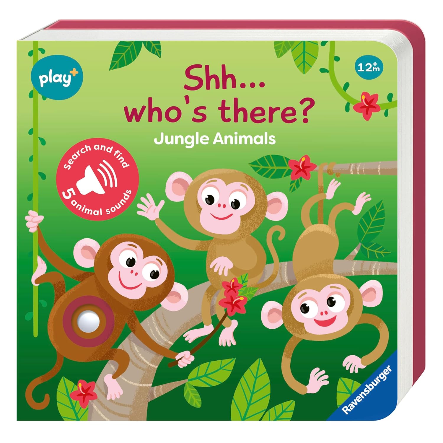 Ravensburger Play+ Shh...Who's There: Jungle Animals - My First Look and Find – Dynamo Limited – Ravensburger – kitap