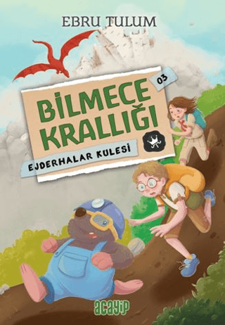 Ejderhalar Kulesi – Ebru Tulum – Acayip Kitaplar – kitap kapağı