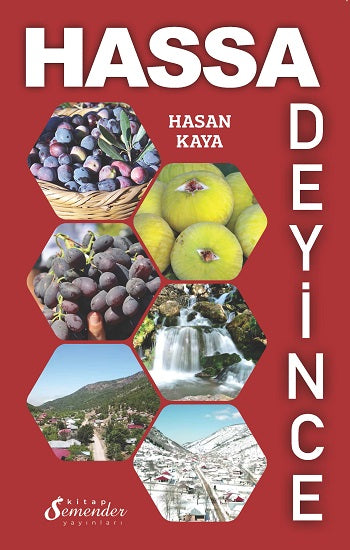 Hassa Deyince – Hasan Kaya – Semenderkitap Yayınları – kitap kapağı