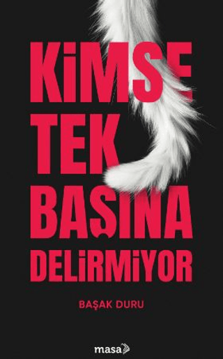 Kimse Tek Başına Delirmiyor – Başak Duru – Masa Kitap – kitap kapağı