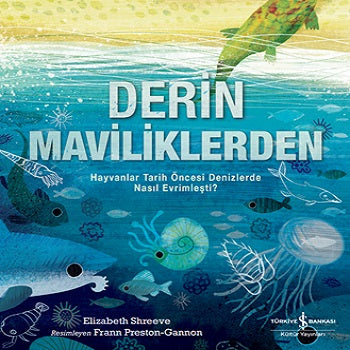 Derin Maviliklerden – Elizabeth Shreeve – İş Bankası Kültür Yayınları – kitap kapağı