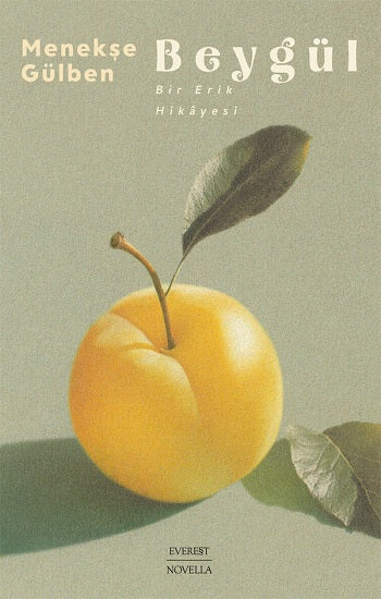 Beygül – Menekşe Gülben – Everest Yayınları – kitap kapağı