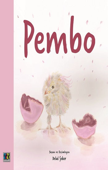 Pembo – Delal Şeker – Zizi Çocuk – kitap kapağı