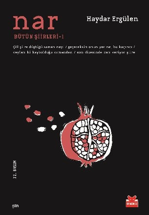 Nar – Haydar Ergülen – Kırmızı Kedi Yayınevi – kitap kapağı