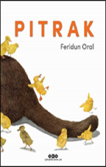 Pıtrak – Feridun Oral – Yapı Kredi Yayınları – kitap kapağı