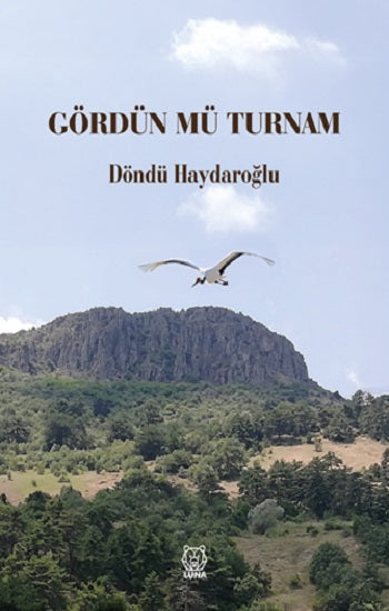 Gördün mü Turnam – Döndü Haydaroğlu – Luna Yayınları – kitap kapağı