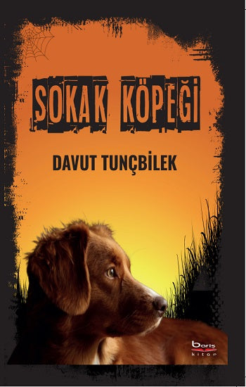 Sokak Köpeği – Davut Tunçbilek – Barış Kitap – kitap kapağı