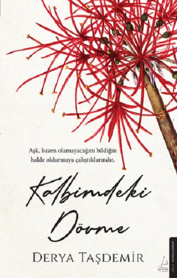 Kalbimdeki Dövme – Derya Taşdemir – Destek Yayınları – kitap kapağı