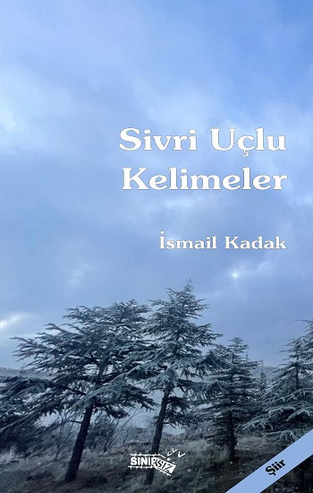 Sivri Uçlu Kelimeler – İsmail Kadak – Sınırsız Kitap – kitap kapağı