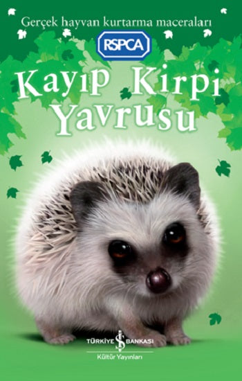 Kayıp Kirpi Yavrusu – Jill Hucklesby – İş Bankası Kültür Yayınları – kitap kapağı