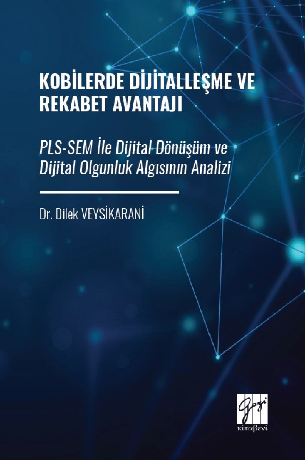 Kobilerde Dijitalleşme ve Rekabet Avantajı Pls-Sem İle Dijital Dönüşüm ve Dijital Olgunluk Algısının Analizi – Dilek
