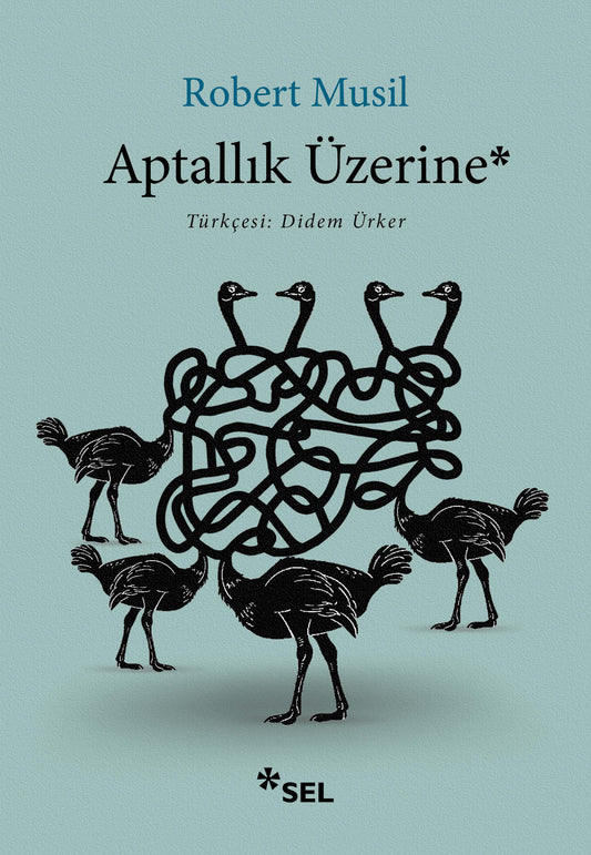 Aptallık Üzerine – Robert Musil – Sel Yayıncılık – kitap kapağı