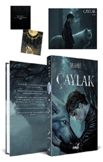 Çaylak (Ciltli) – M. Rise – İndigo Kitap – kitap kapağı