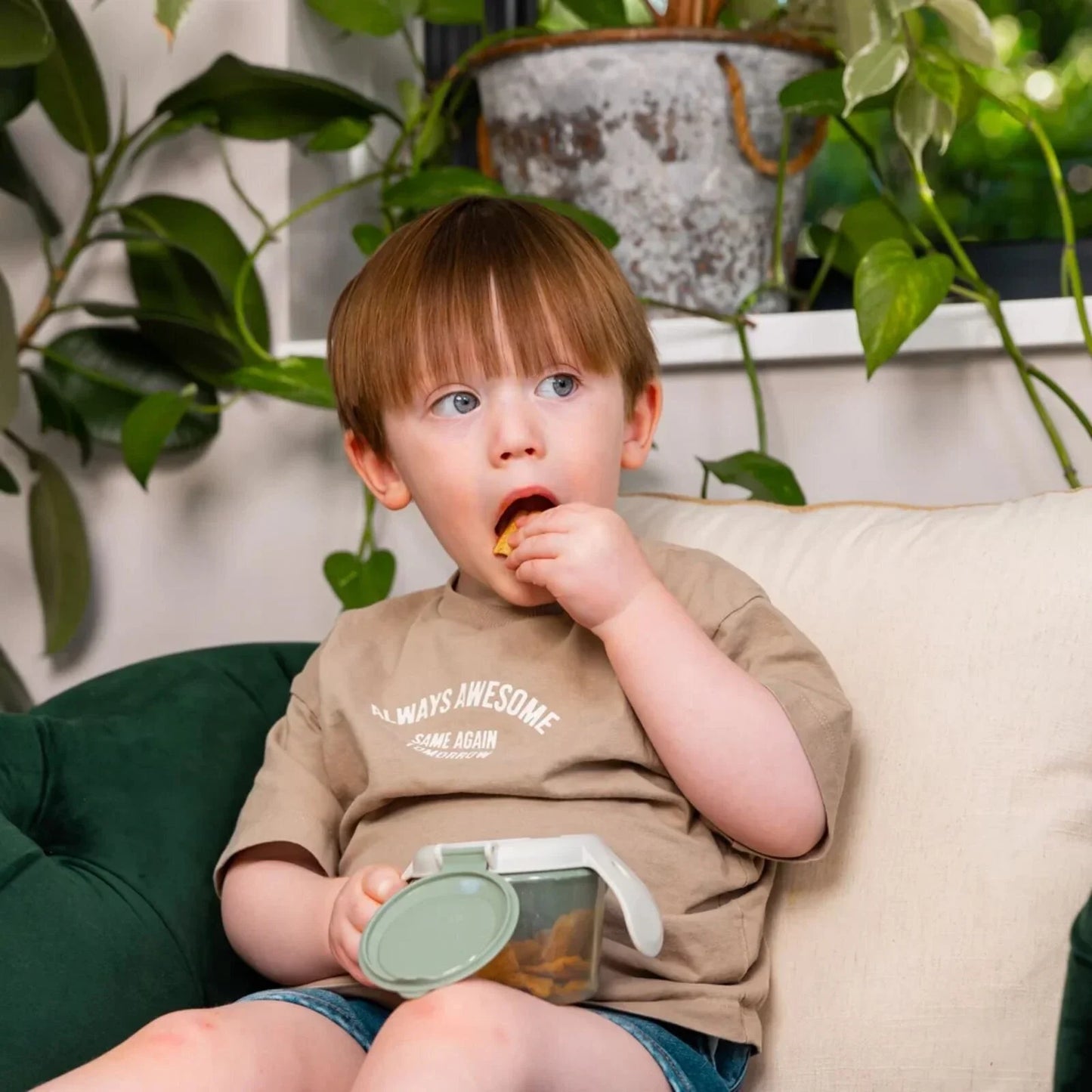 Vital Baby Nourish Snack On the Go - Natural Berry