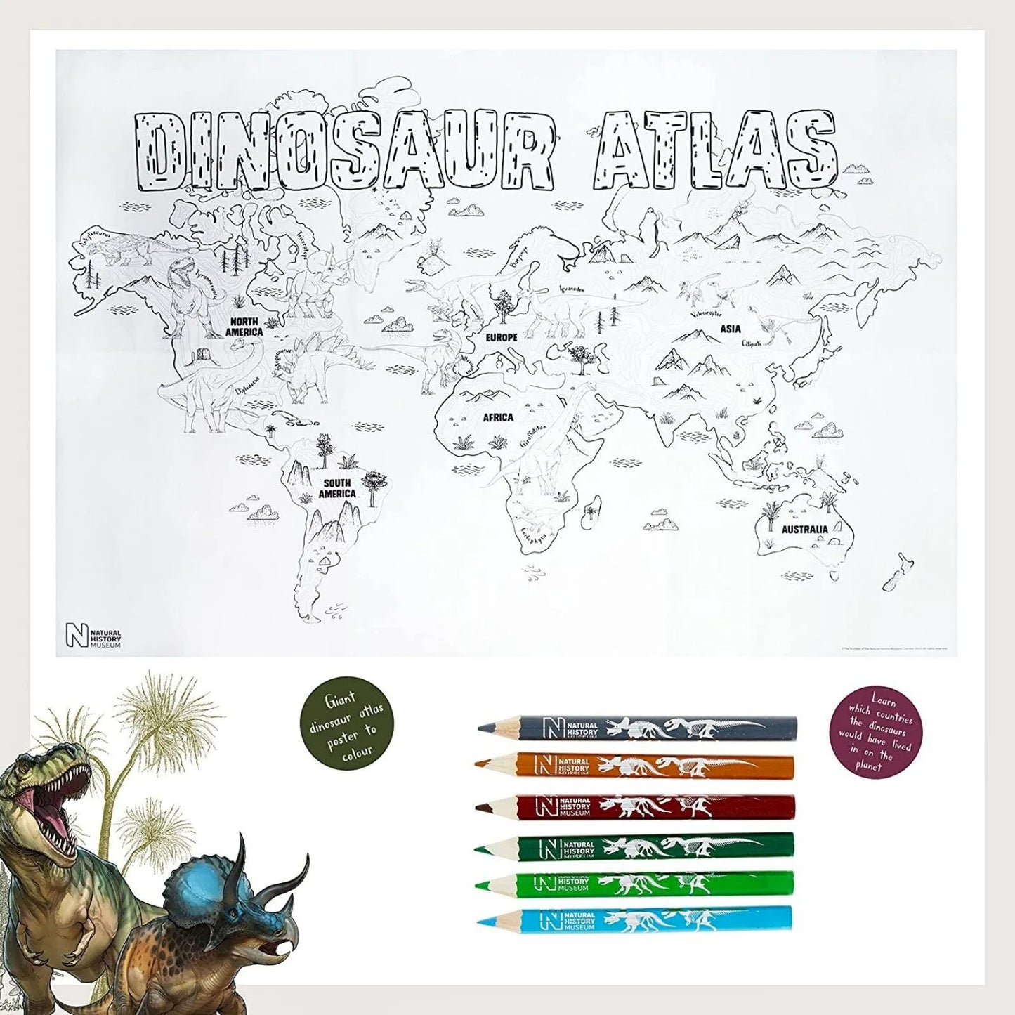 National History Museum Giant Poster Set