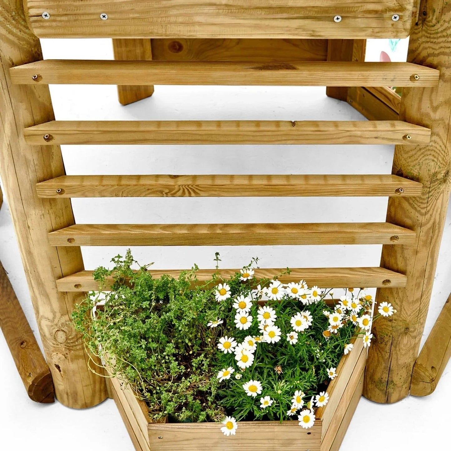 Plum Discovery Woodland Treehouse