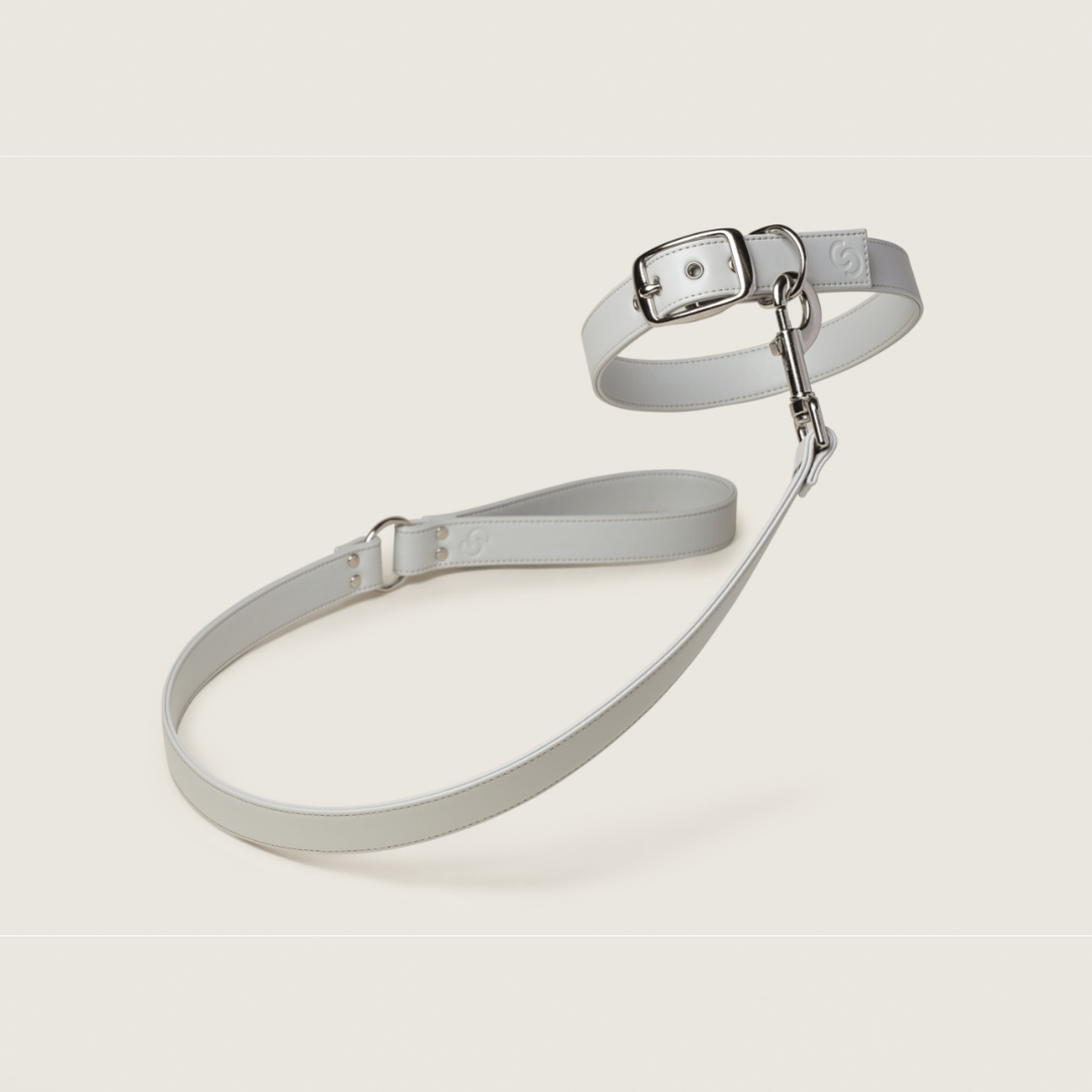 Ice blue apple leather lead - mezetto