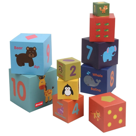 Rossie Educational Cube 10 Pieces