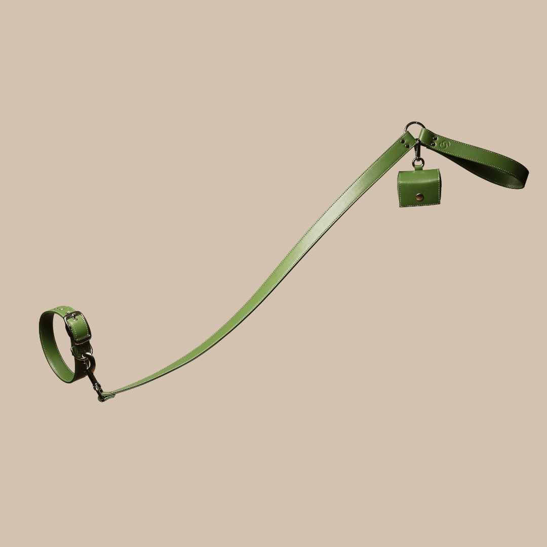 Green apple leather lead - mezetto