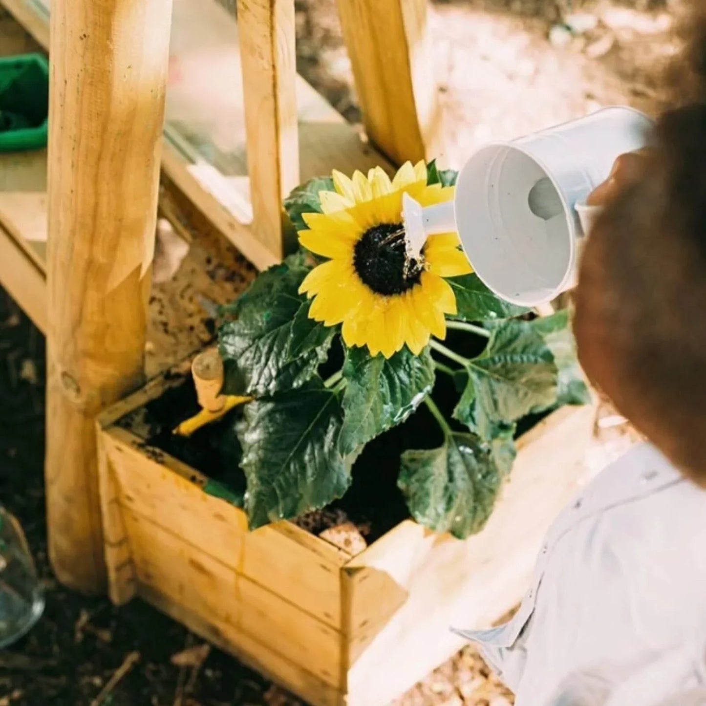 Plum Discovery Create & Paint Easel