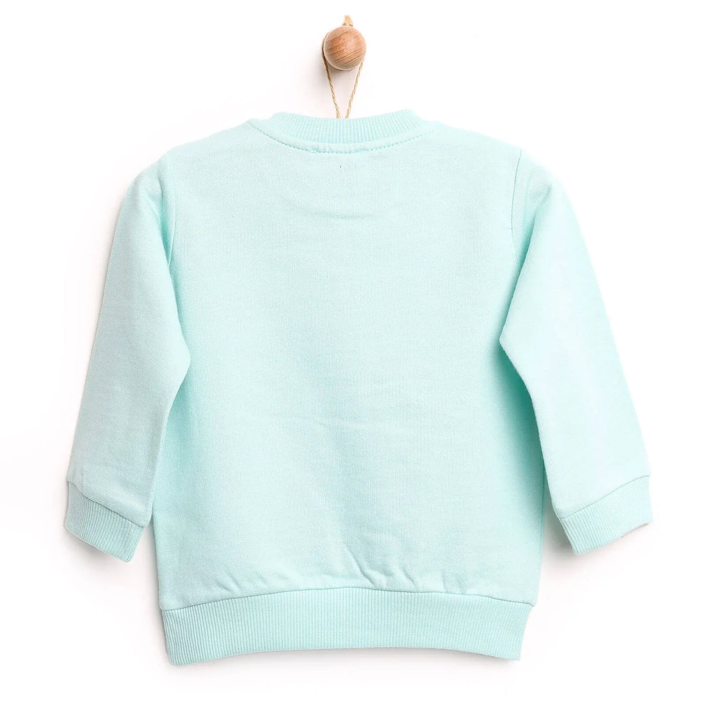 HelloBaby Baby Girl Basic Mint Sweatshirt - Multicolour