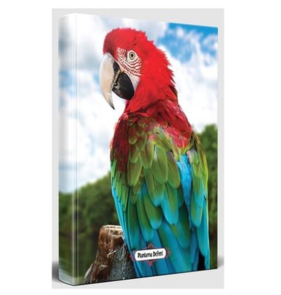 Gökkuşağı - Planlama Defteri