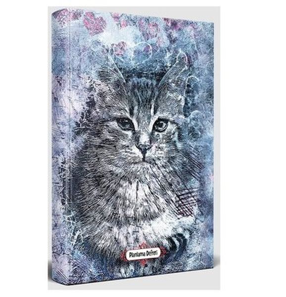 Asil Kedi - Planlama Defteri