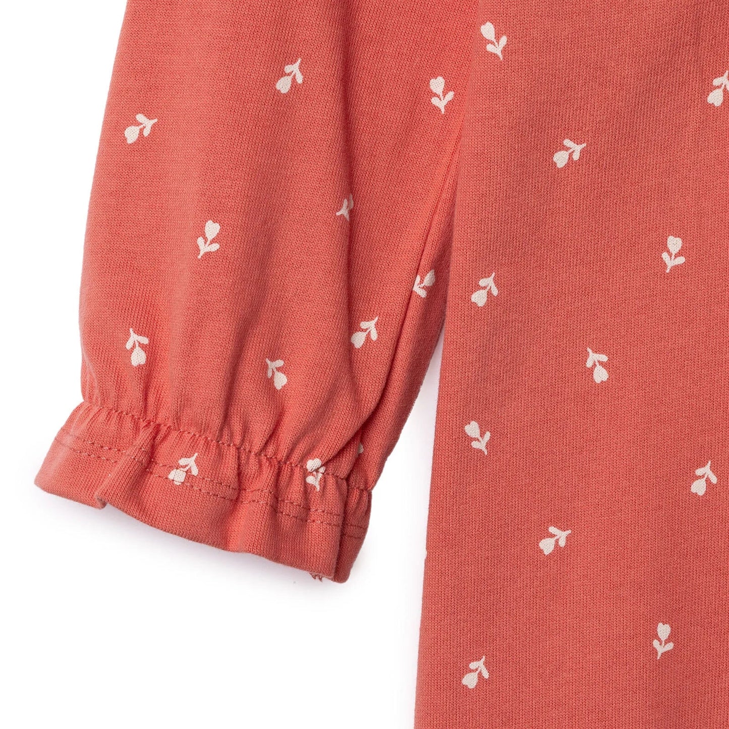 HelloBaby Wintrt Cherry Dress - Coral Printed