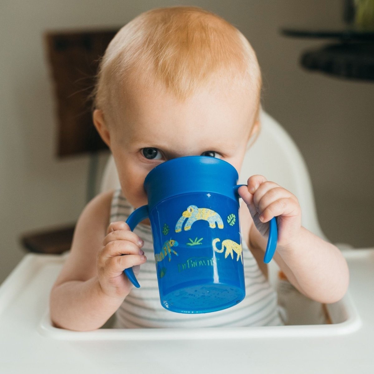 Dr. Brown's 360 Spoutless Transition Cup 300ml - Blue