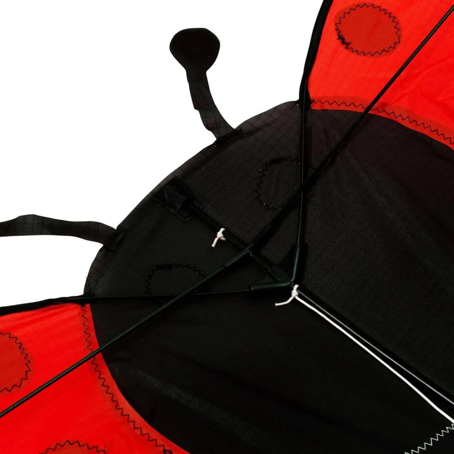 Brookite Ladybird Kite