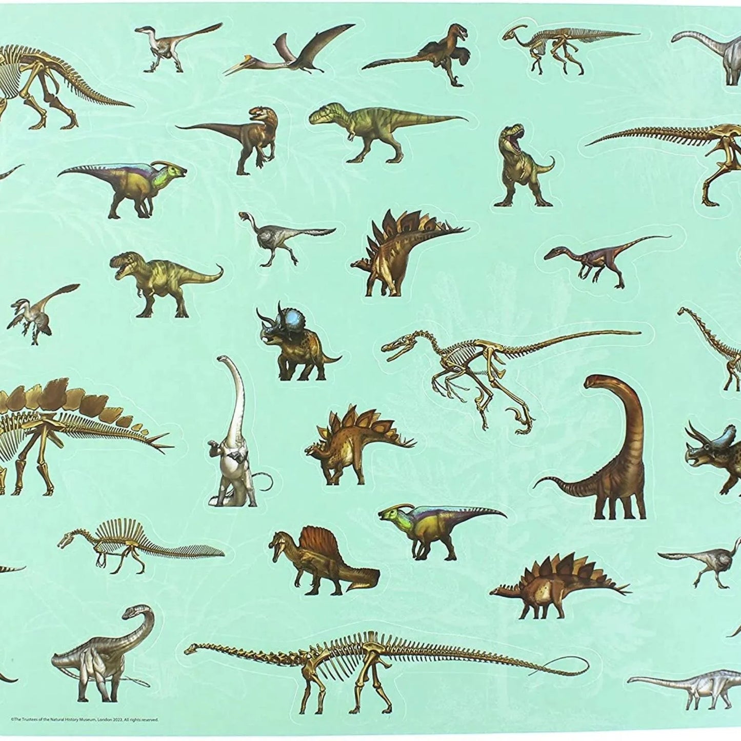 National History Museum Colouring Pad