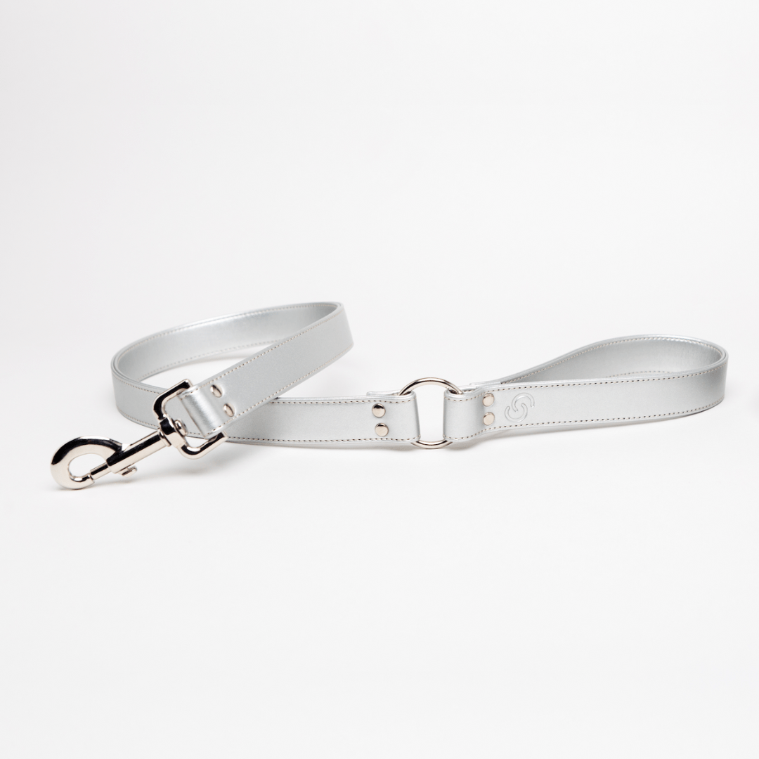 Silver apple leather lead - mezetto