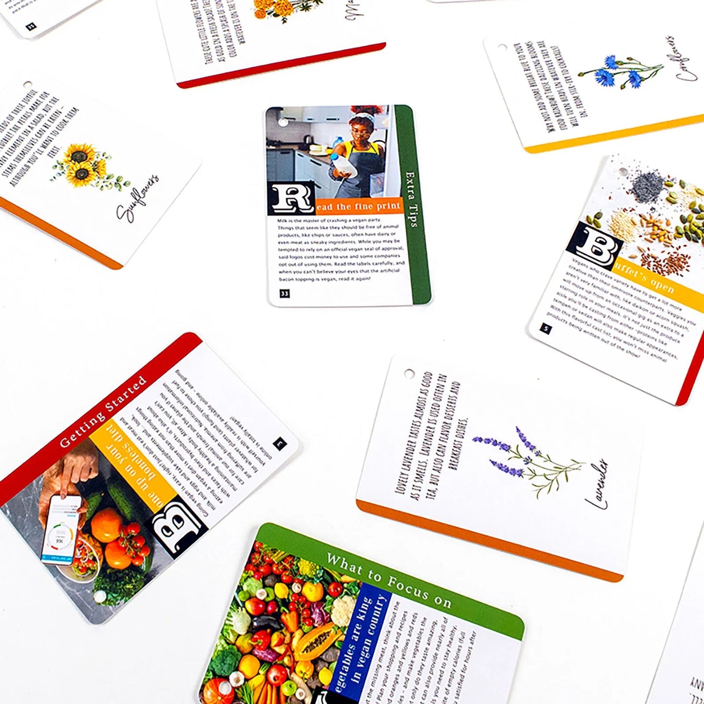 Recent Toys How to become a Vegan